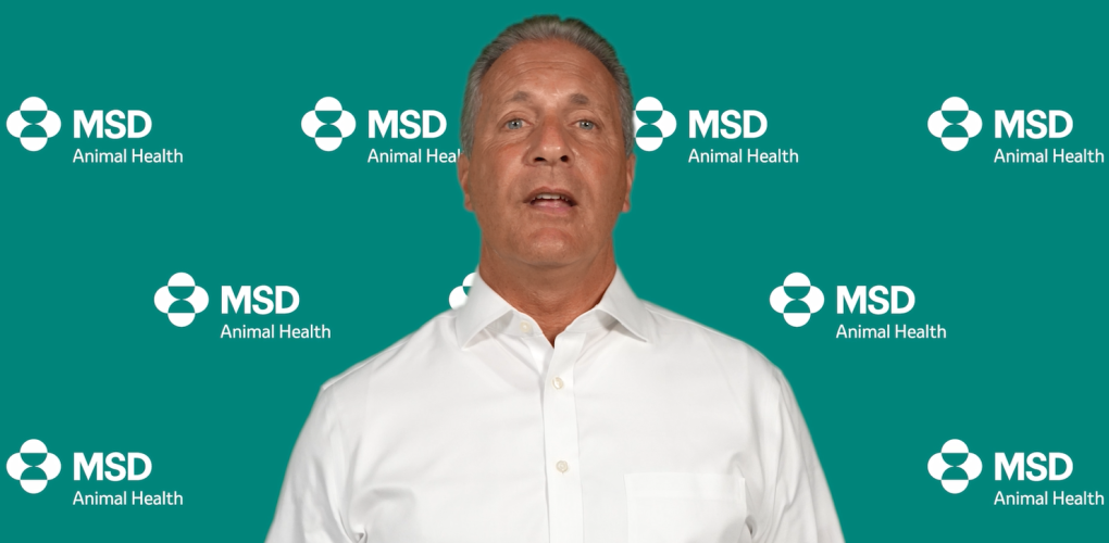 MSD ANIMAL HEALTH ĐÃ MUA LẠI MẢNG KINH DOANH THỦY SẢN CỦA ELANCO.